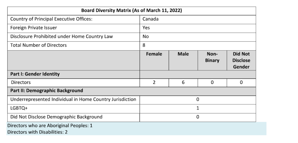 Board Diversity Table